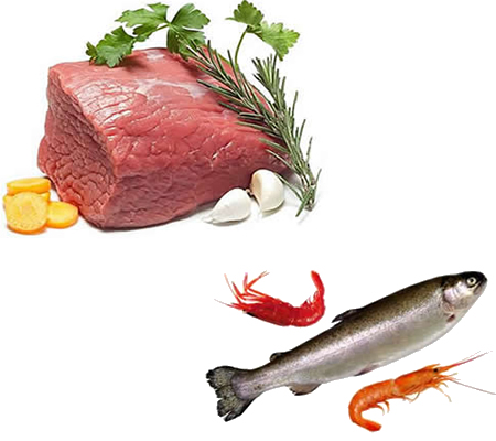 肉食品水產(chǎn)品烘干機、肉脯烘干設(shè)備、肉類烘干設(shè)備